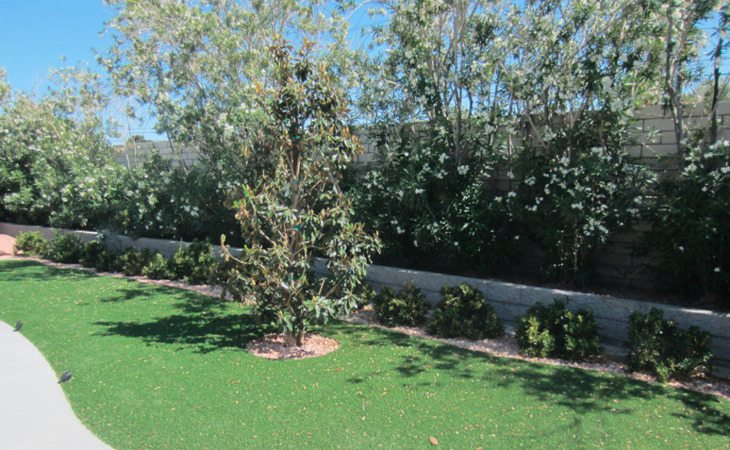 tlc-costa-brava-llc-89146-1430811_6