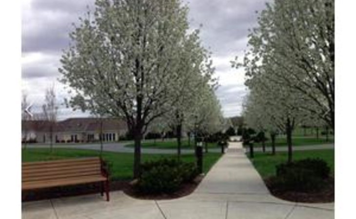 woodcrest-villa-continuing-care-retirement-community-17601-1431623_16