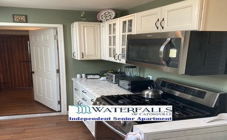 the-waterfalls-of-catonsville-21228-1432111_23