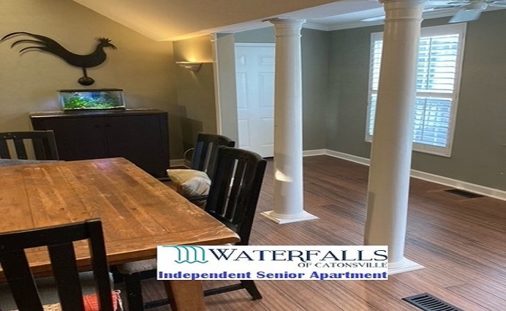 the-waterfalls-of-catonsville-21228-1432111_25