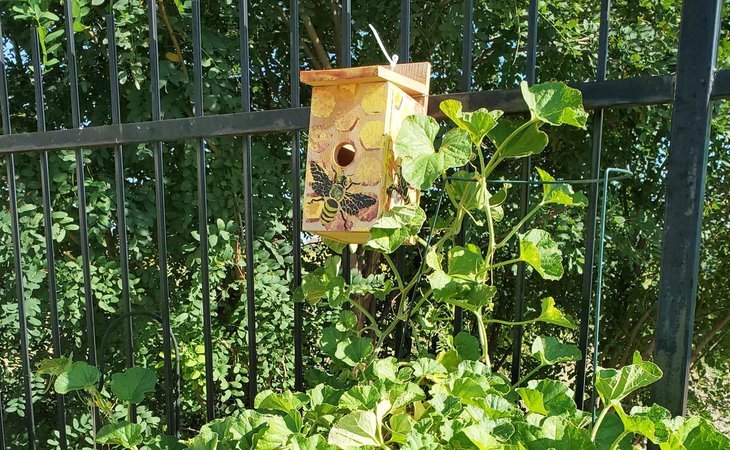 beehive-homes-of-hobbs-88242-1432268_4