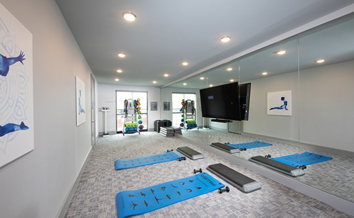 the-luxe-at-cedar-hill-75104-1433778_12