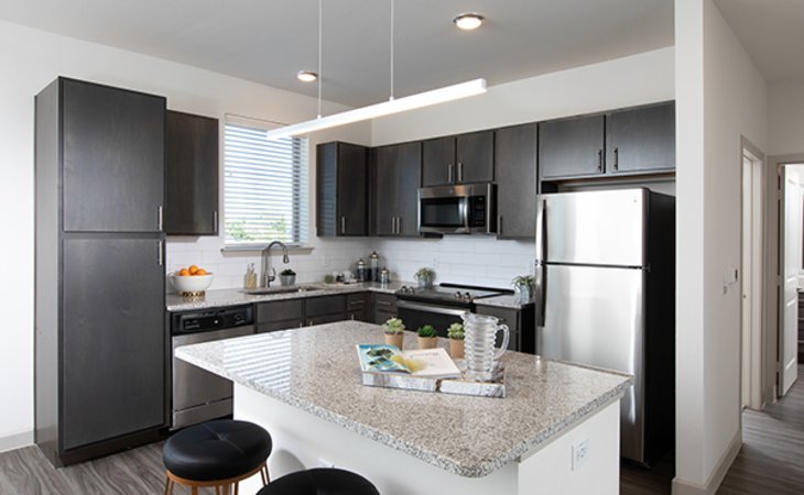 the-luxe-at-cedar-hill-75104-1433778_6