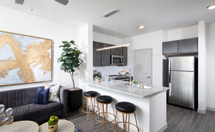 the-luxe-at-cedar-hill-75104-1433778_7