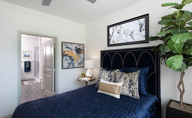 the-luxe-at-cedar-hill-75104-1433778_8