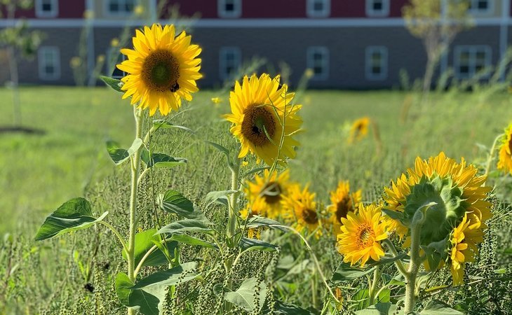 field-of-dreams-senior-living-14706-1446326_8