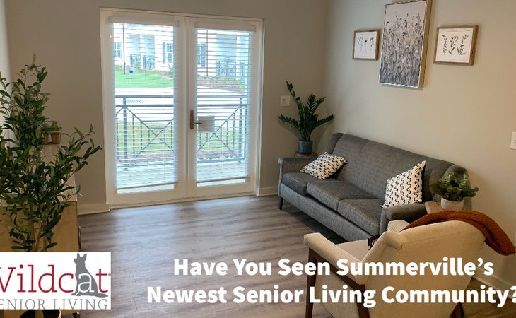 wildcat-senior-living-29486-1449410_5