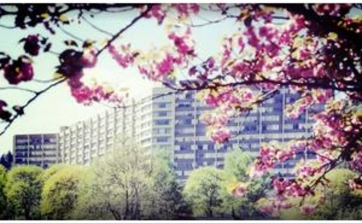 terwilliger-plaza-97201-144_2