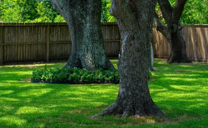 everywhere-is-home-residential-assisted-living-77505-1450198_8
