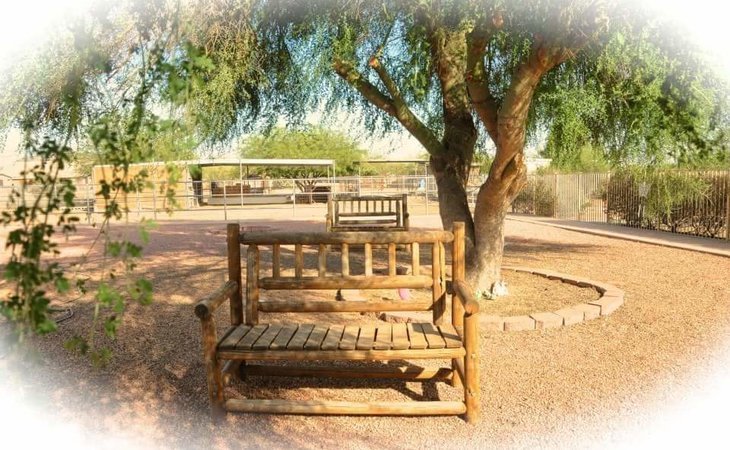 grace-hill-ranch-llc-85086-1450569_13