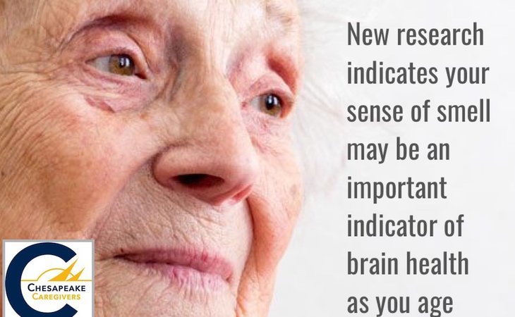 chesapeake-caregivers-home-care-21403-1452188_8