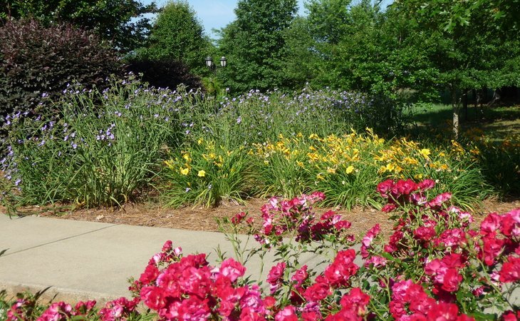 autumn-cove-assisted-living-memory-care-36207-16391_11