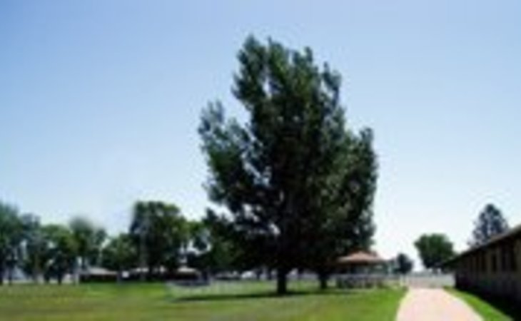 morys-haven-68601-1778_2