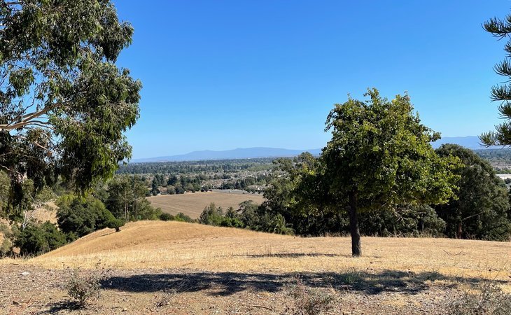 acacia-creek-94587-29830_11