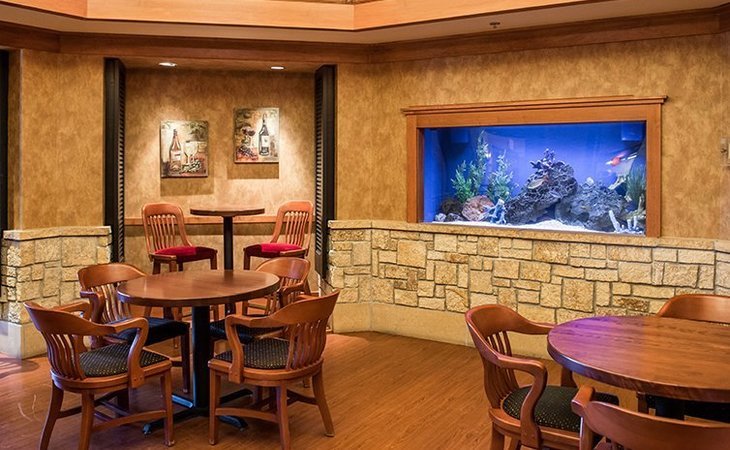 the-wellstead-of-rogers-diamondcrest-senior-living-55374-37416_4