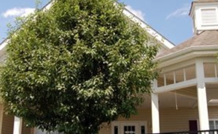 brookdale-peachtree-mc-28625-38486_22
