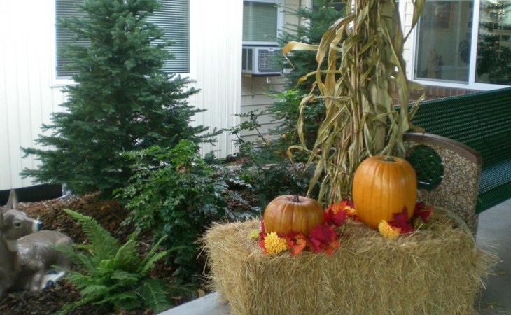 meadows-courtyard-97045-40559_10