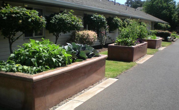 meadows-courtyard-97045-40559_7