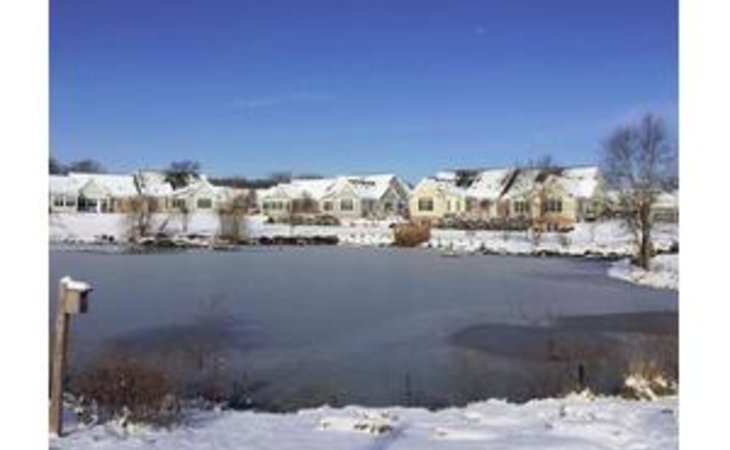 homestead-village-17604-41312_15