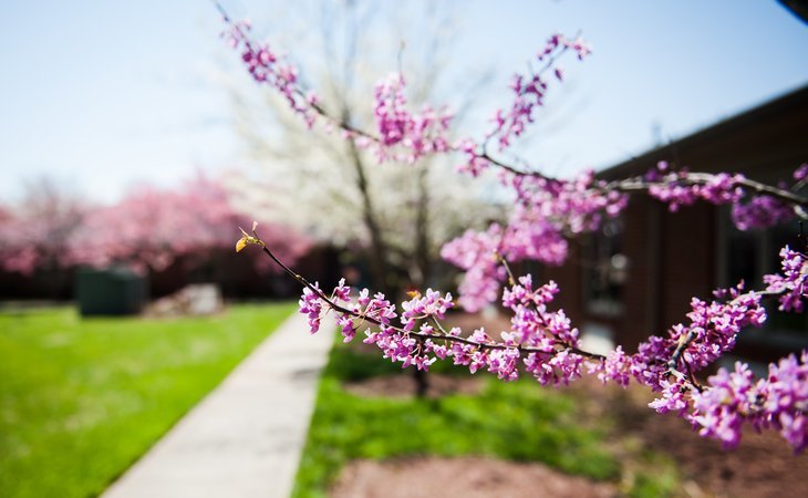 commonwealth-senior-living-at-south-boston-24592-44717_3