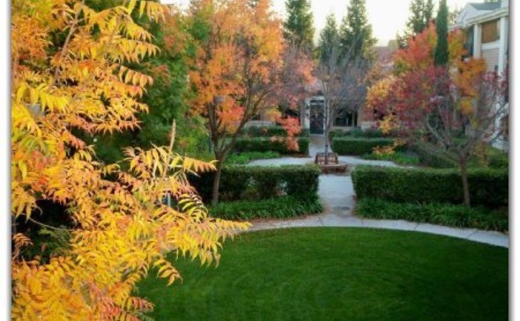 terraces-of-los-gatos-95032-5789_3