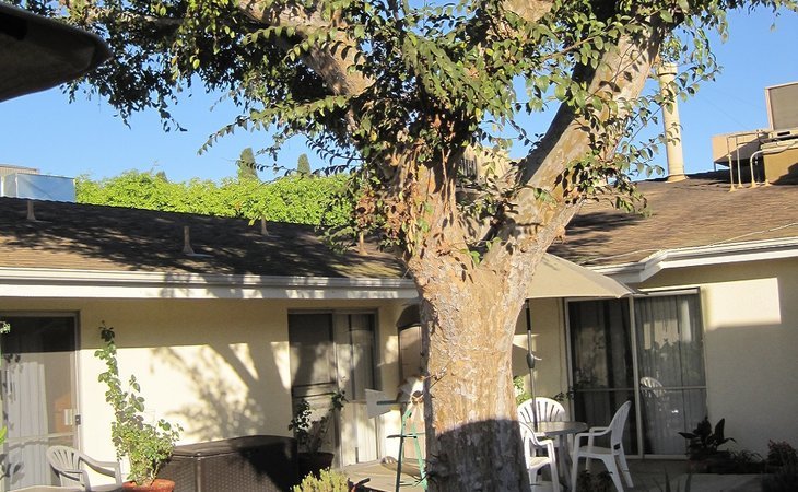 extended-care-hospital-of-westminster-92683-9695_7