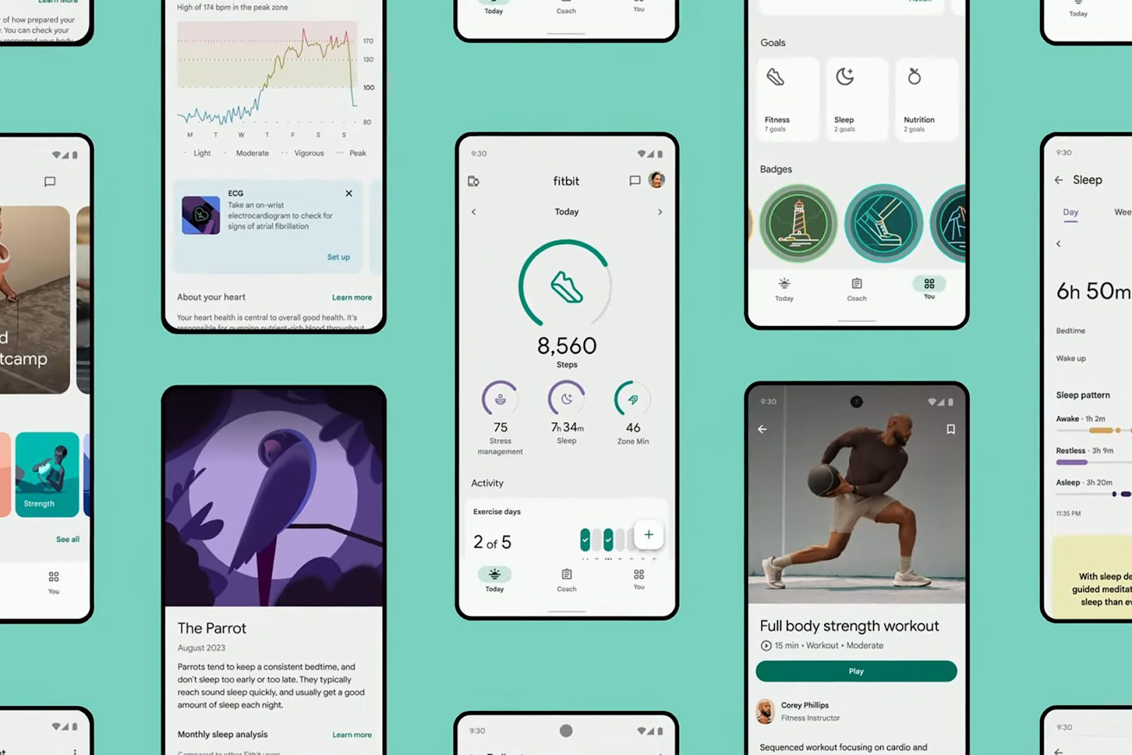 Download Fitbit For FREE_1