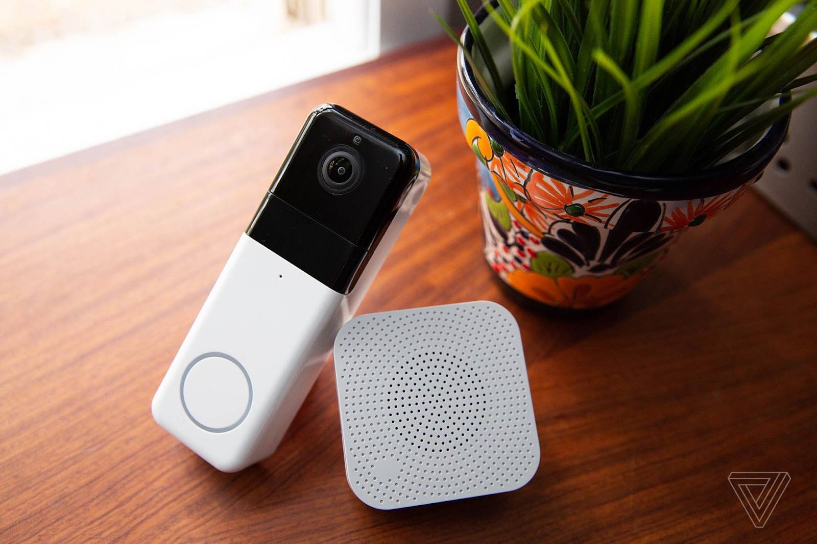 Download Wyze For FREE_2