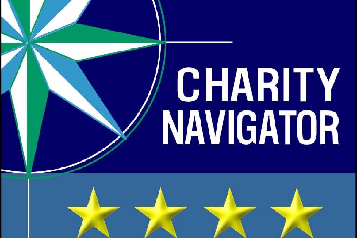 How To Find The Most Reliable Charities In The U.S.?_4