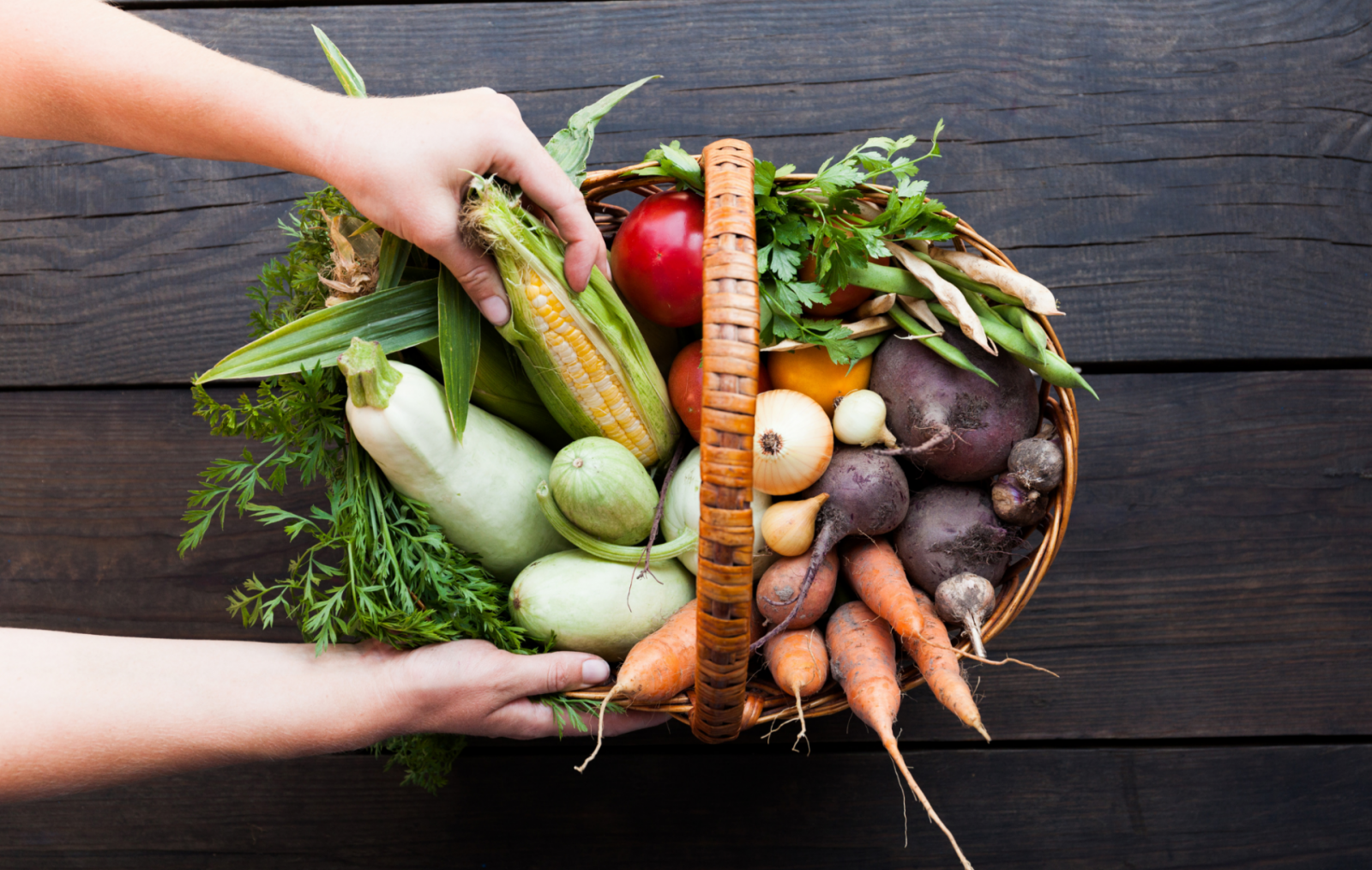 Low-Cost Food Available Through Community Supported Agriculture Programs_5