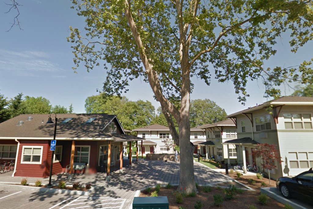 Cedars, The