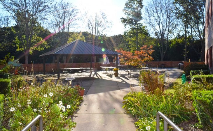 luxor-nursing-and-rehabilitation-at-sayville-11782-11350_1