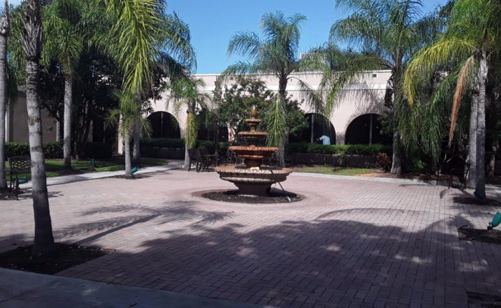 cherry-oak-palm-beach-county-alf-33462-1173349_2