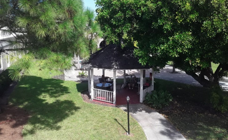 cherry-oak-palm-beach-county-alf-33462-1173349_8