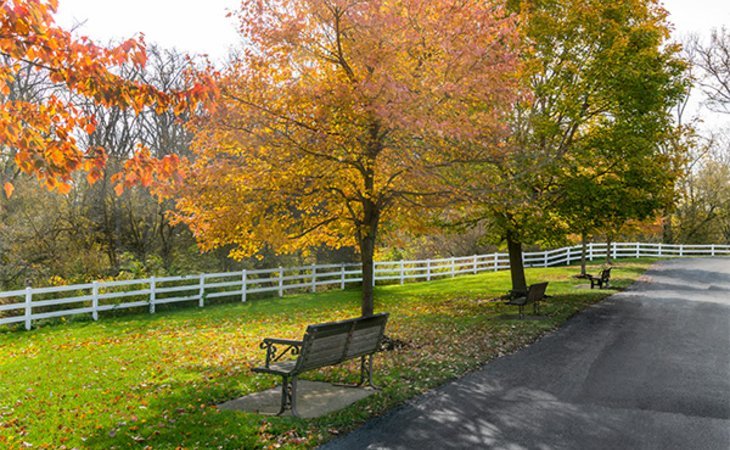 elderwood-assisted-living-at-cheektowaga-14227-1173600_6