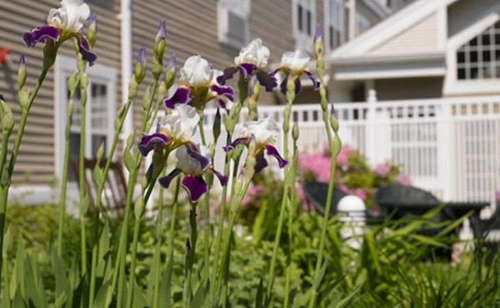 atria-kennebunk-04043-1176213_3