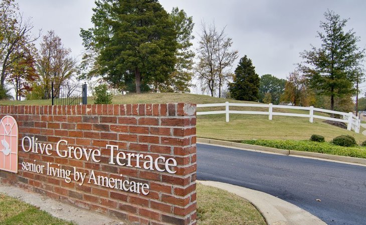 olive-grove-terrace-38654