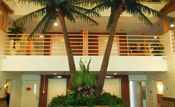 the-palms-at-o-neil-15132-1176954_2