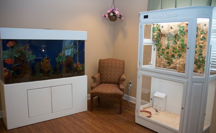 brookdale-carmel-46032-1177866_6