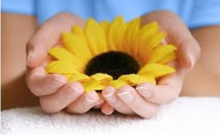 concierge-home-health-care-34110-1177983_4