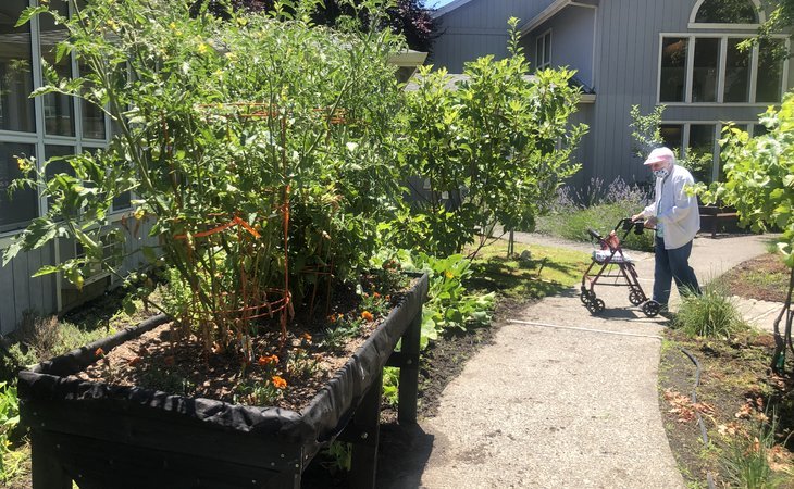 cogir-of-rohnert-park-senior-living-94928-1201925_11
