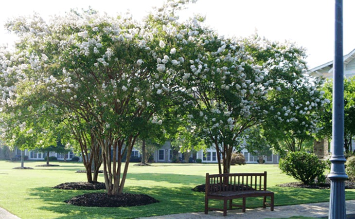 vernon-woods-retirement-community-30240-1201970_2