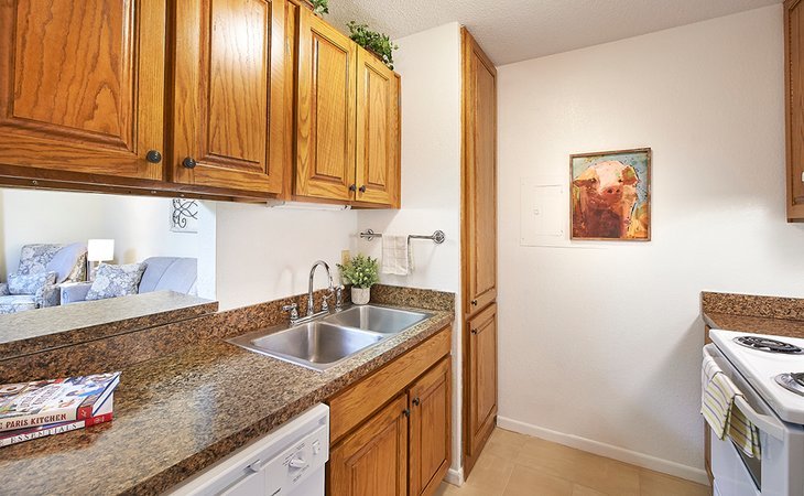 senior-star-at-woodland-terrace-74133-1202180_7