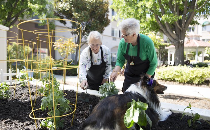carlton-senior-living-san-leandro-94577-1202401_9