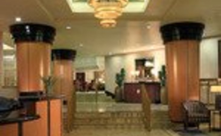 five-star-premier-residences-of-dallas-75231-1202470_10