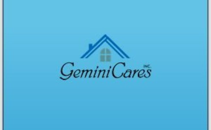 geminicares-53086-1205353_1