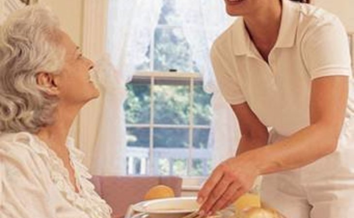 visiting-angels-servicing-48360