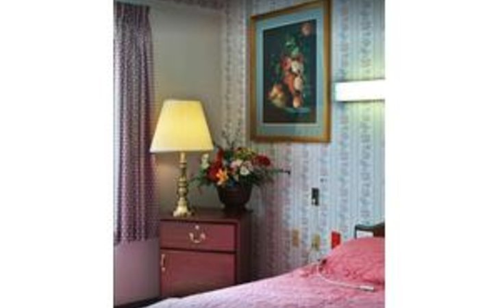 rose-view-center-17701-1205997_1