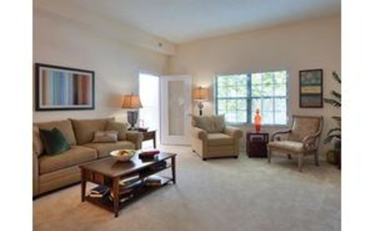 lake-seminole-square-33772-1206349_28