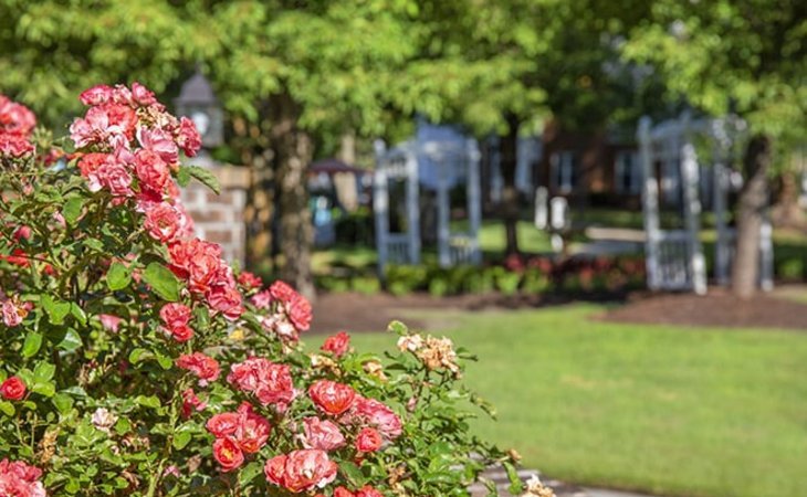 brookdale-chambrel-williamsburg-23185-1206414_11